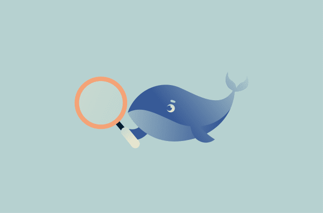 Is DeepSeek safe? What happens to your data when you use it