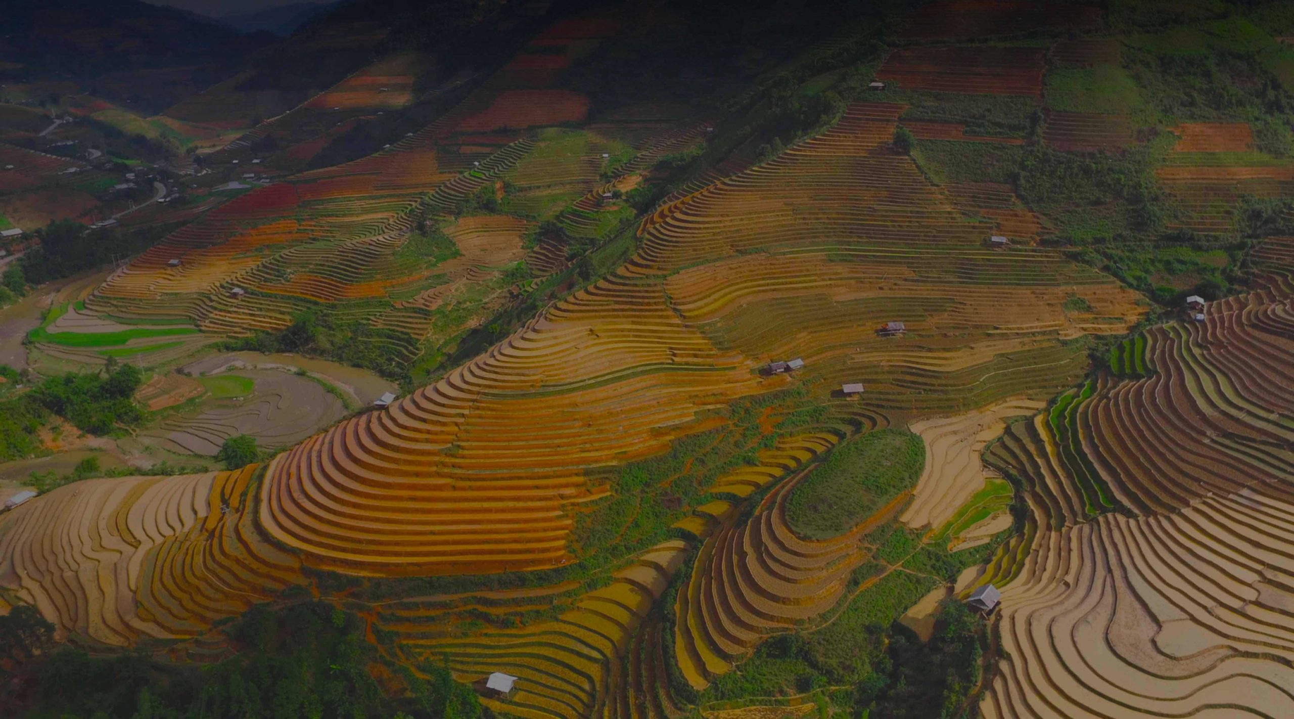 Last ned det beste VPN-et for Vietnam i 2025
