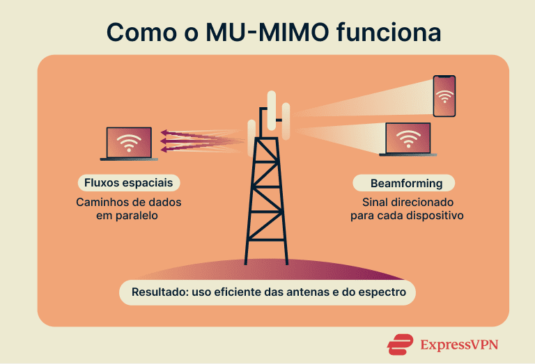 Mimo Fr 1
