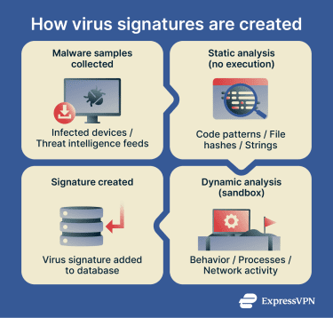 Infographic showing how virus signatures are created.